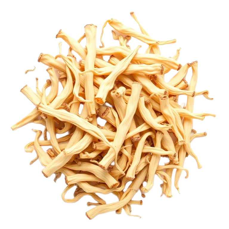 Safed Musli