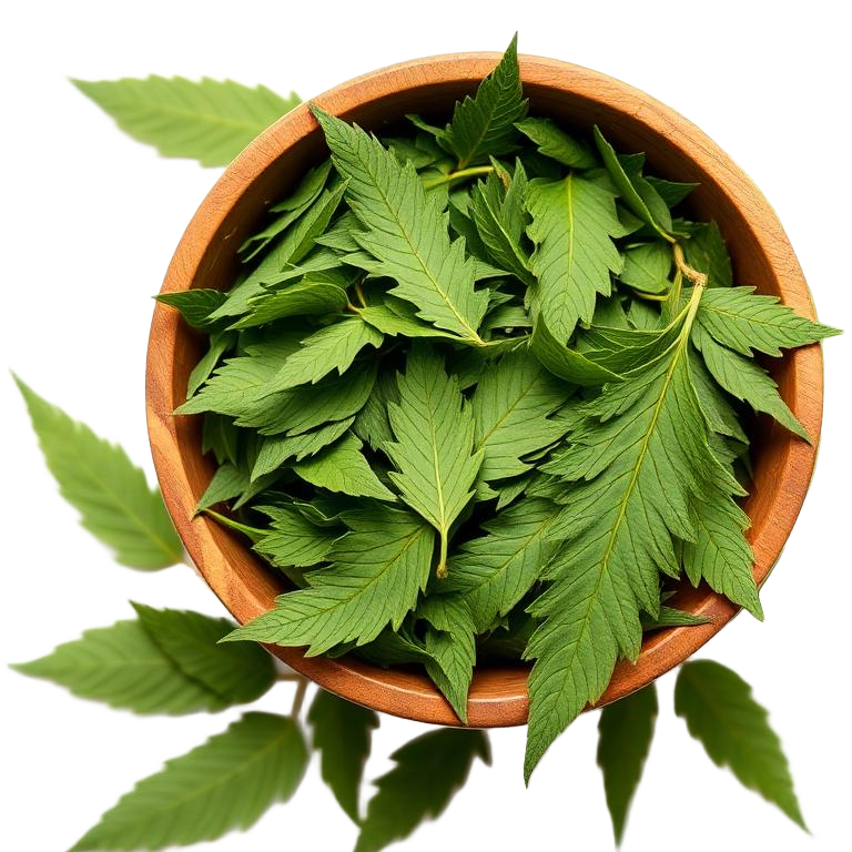 Senna Leaves
