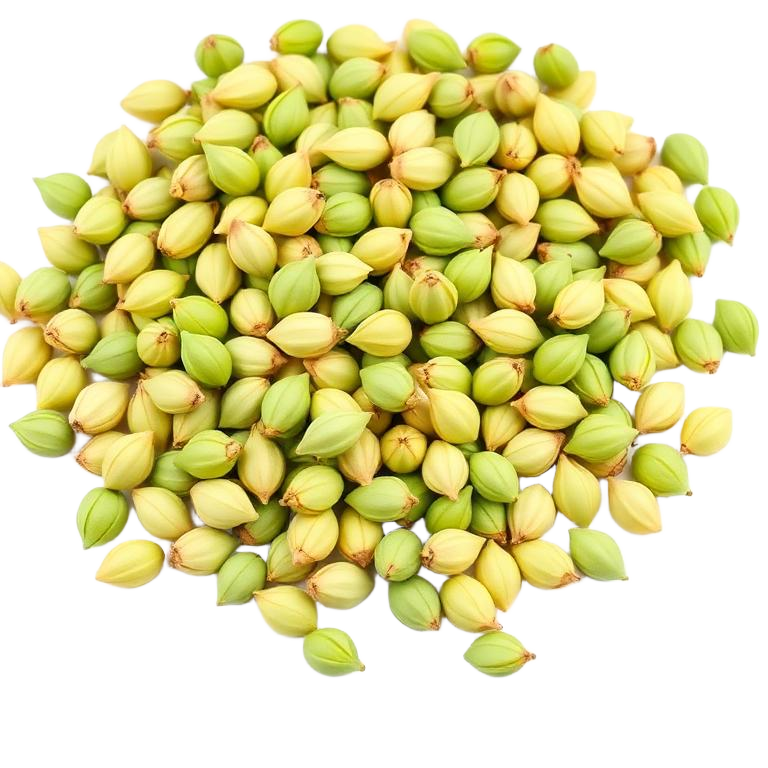 Green Cardamom (Elaichi)