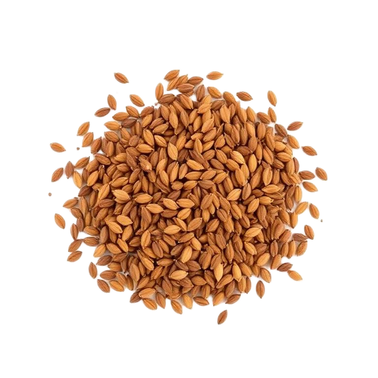 Cumin Seeds (Jeera)