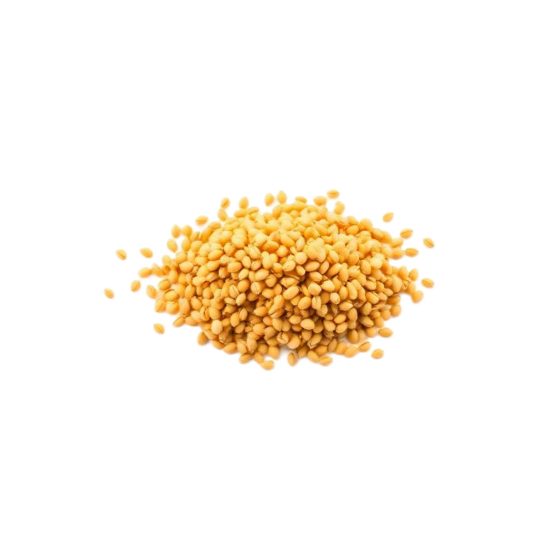 Fenugreek (Methi Dana)