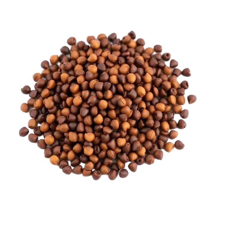 Mustard Seeds (Rai)